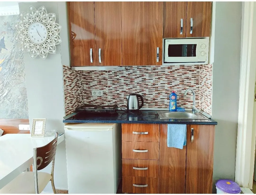 아파트호텔 Sultanahmet Center View Apart Hotel 이스탄불